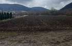 6700 MP TEREN ALBESTI- SIGHISOARA - 5