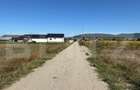 Teren intravilan, 2.250 mp, de vanzare, zona Chintelnic - 4
