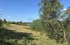 Vânzare teren Reșița: 17260 mp, Calea Caransebeșului - 2