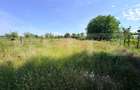 Teren intravilan, 700 mp, Cosoveni - 3