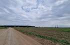 Vânzare teren 43.000 MP Intravilan Tarla 10–Ștefăneștii de Jos, Nod A3-A0 FS 75
