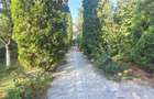 Casa de vanzare la asfalt 8 camer 1720 mp teren Alba Iulia - 1