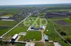 Black Angus Farm with authorized Slaughterhouse - 1