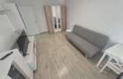 Apartament 2 camere zona Podu de Fier - 3
