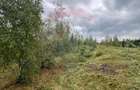 Teren extravilan parcelabil Călățele Pădure, zona Dealu Negru - 10