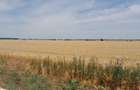 TEREN  CTPARK A1 - 9