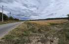 4 ha Drăghici–Mihăești | 3 ha teren + 1 ha pădure | asfalt |toate utilitățile