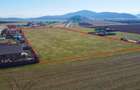 Teren intravilan 18.200mp, cu PUZ si PUD, ideal constructi case, Bod, Brasov. - 11
