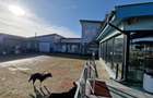 Hala 440mp, Apartamente 340mp, Garaj, teren 1500mp, acces facil-460.000euro - 44