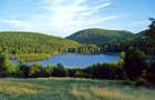 RATE Pensiune 12 cam Superba*** malul Lac Mocearu piscina ,16277mp - 26