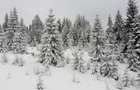 Teren 2600mp - Partia Marisel - intravilan, la 5 minute de partia de ski-CU PUZ - 5