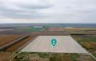 Teren extravilan 5 hectare ( zonă industrială ) Șag - 3