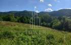 Teren în Fântânele – 3.673 mp, pârâu si cadru natural  deosebit - 11