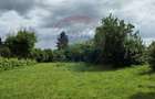 Domeniu rural, gospodarie/multifunctionala cu casa, livada, vie - 36