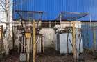 Vanzare/inchiriere FABRICA cu 3 HALE si BIROURI, zona industriala mun. VASLUI - 16