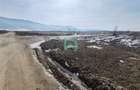Vanzare teren intravila industrial, 10480 mp, centura Brasov - 6