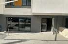 Sergent Ilie Petre 54 - spatii comerciale - 6