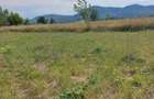 Teren intravilan Piatra Neamt - 3