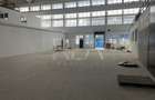 Hala renovata zona industriala Jilava - 3