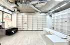 Spatiu Comercial Vasile Lascar - 2