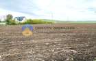 TEREN intravilan 4500 mp  PIATRA NEAMT  strada Izvoare - 4