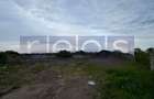 VANZARE TEREN 16.000 MP | 2 LOTURI | CONSTRUCTII EXISTENTE | ROSIORI DE VEDE - 4