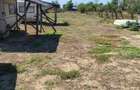 Teren INTRAVILAN în Delta Dunării – 1035 mp – Chilia Veche – locație rară - 3
