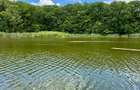 Teren de vanzare SNAGOV pe Lac si Padure - 1