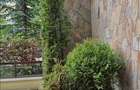 Apartament tip studio Drumul Poienii-Bellevue, Brasov - 13