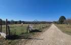 Teren intravilan 899 mp – Curtea de Arges, Strada Strada Valea lui Alb
