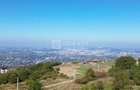 Teren 10.000mp plan, 350m altitudine | Barnova-Paun | POT 35%, CUT 0.9