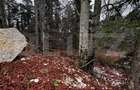 Teren unic, exclusivist  4000 mp, in inima muntilor, Sinaia - 14