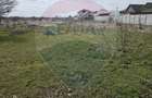 Teren  Balotesti Dumbraveni  16.700 mp /8350 mp /loturi 500 mp - 4