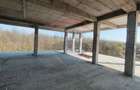 Apartament 4 camere CRANGUL PETRESTI. - 6
