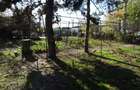 Teren cu casa, 3600mp, 4 camere de vanzare in Nicolae Balcescu - 7