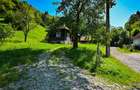 FILM! Proprietate autentica, Bran-Simon, 4.300 mp teren, casa traditionala + ane - 52