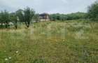 Teren 500 mp cu priveliște spre oraș, disponibil și parcelat, Bistrita - 10