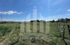 Teren intravilan | 450 mp | 13 ml deschidere | Alba-Micesti - 4