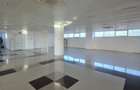 Splaiu Unirii teren 5000 mp Imobil S+P+5 Showroom, Clinica , Birouri , Hotel - 19