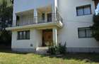 Vanzare vila P+1+M cu 5 camere, casa batraneasca , 2 garaje, teren 9249mp, - 3