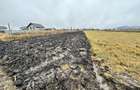Teren 24 Ari | Horodnic de Sus | Front 15 m - 3