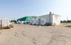 Hală industrială 950 mp utili de închiriat | Calea Moinești | Acces TIR - 4