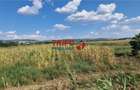 Teren intravilan 5.756 mp cu acces direct la Șoseaua de Centură – Alba - 7