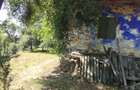 Teren intravilan 2828 mp+autorizatie casa-anexe-livada-Dorolea - 7