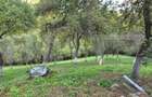 Casa 3 camere, 55 mp, teren 23.000 mp, zona pitoreasca-Poiana Marului - 18