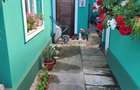 Casa individuala cu 3 camere Ferentari- Trompetului - 16