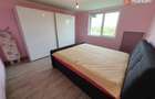 Casa cu 5 camere, 236 mp, teren 5805 mp, Brestea - Denta  - 8