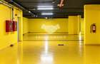 Duplex Aviatiei 790mp | Piscina pe terasa | 12 Parcari | Boxa 53mp | +Ap 2 cam - 28