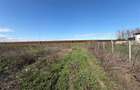 Teren intravilan 700mp in zona de Nord de vanzare - 8
