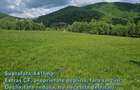 Oportunitate Investitie! Teren Intravilan, 4411 mp, Valea Ierii - 2